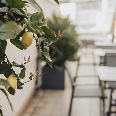 Hotel Feichter & Bistro
